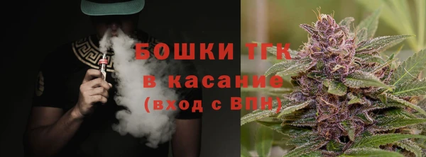 мдпв Билибино